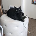 cuddlebug2989