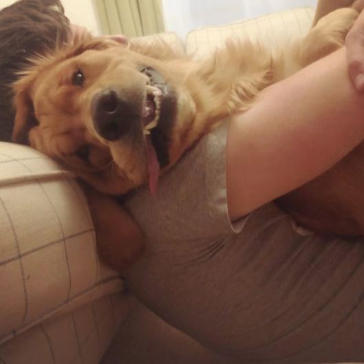 cuddlecaliguy