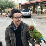 fellowtraveler