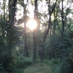 sunshine757