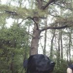 welcomethesky