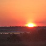 sunshine757