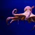 DeepDiver