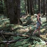 ferngullypdx