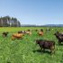 hobbyfarmer