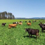 hobbyfarmer