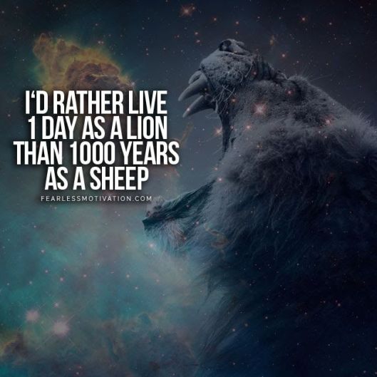 Lion13's picture 5 of 6