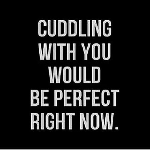 Snuggle__