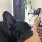 TattooSqueeze