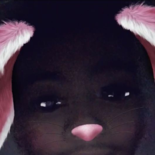 softteddybear15