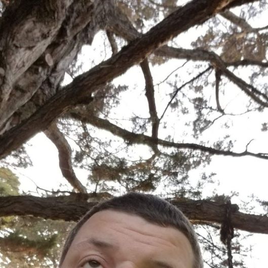 MountainBearMan