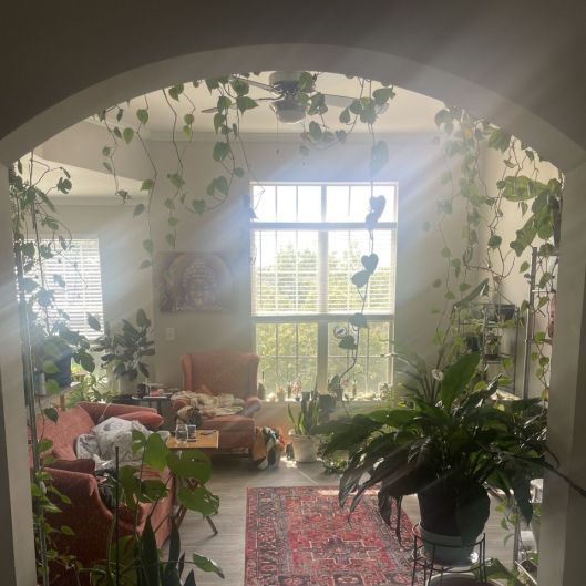 SnugglyPlantDad's picture 4 of 13