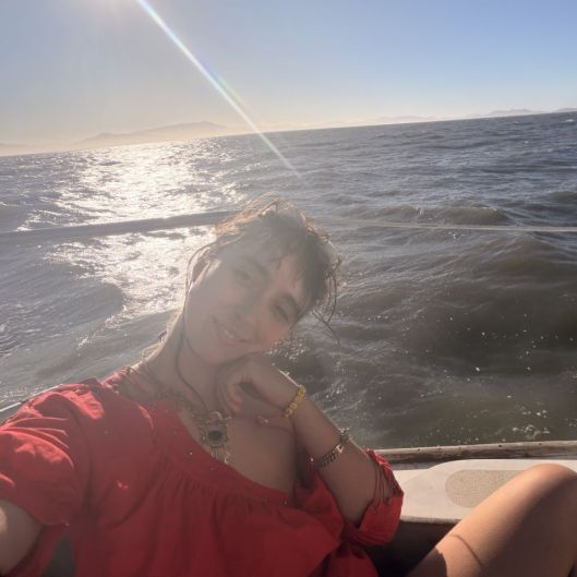 Softsoph Picture