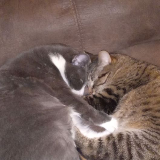 Snugglez4Life's picture 2 of 2