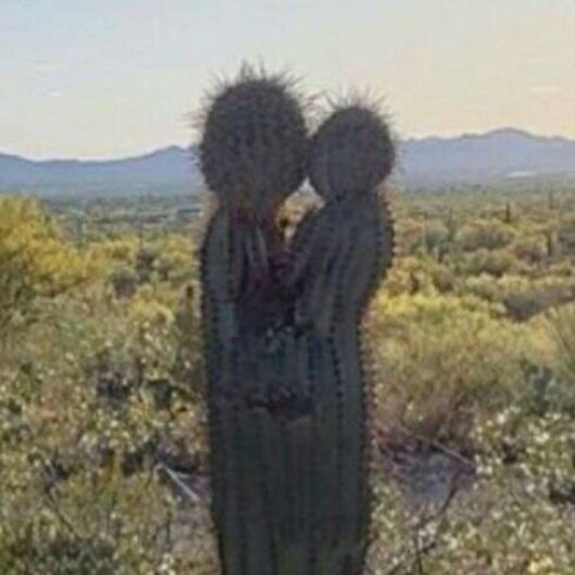 snugglemeclose Picture
