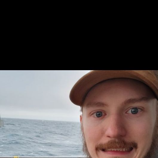 wonderdavid