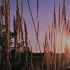 Sunnyseattle16