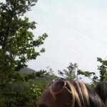 MaCassidy