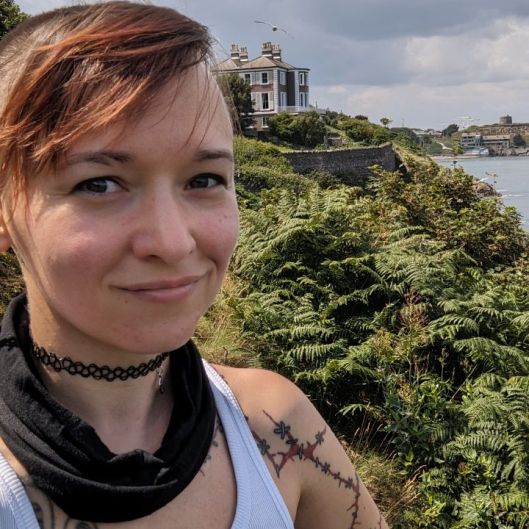 Transhpandigans Picture