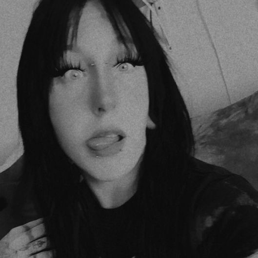 SheaBear36