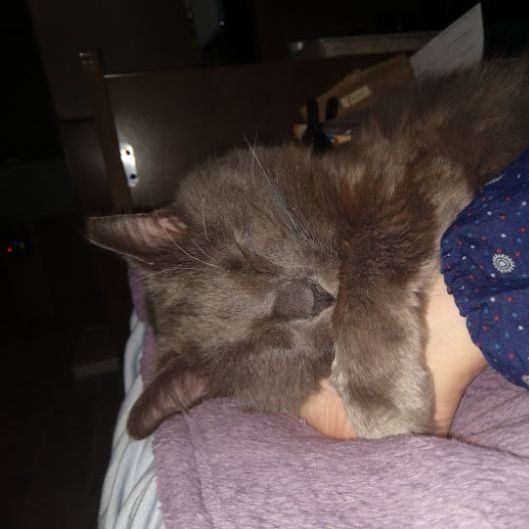 ubergigglefritz's picture 5 of 10