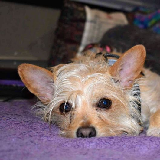 ubergigglefritz's picture 6 of 10