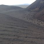 Sani_N