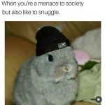 cuddlebro98