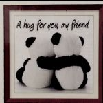 Softpanda9