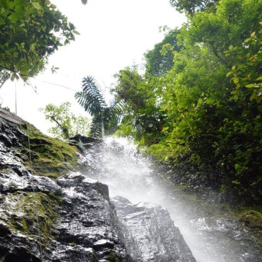 AllAboutU's picture 10 of 15