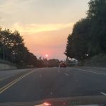 SirCuddleAlot02