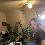 danicalifornia