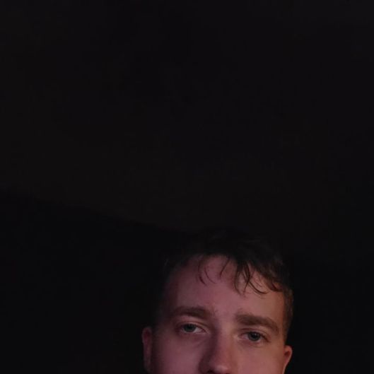 LowlifeTurtle0