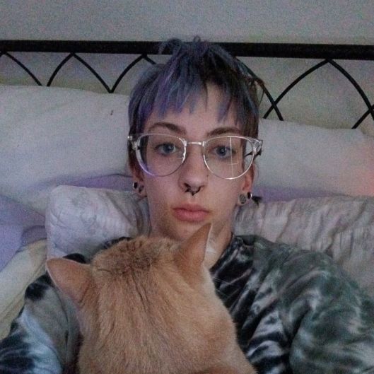 danidan Picture