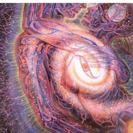 RayOfLight1's picture 6 of 15