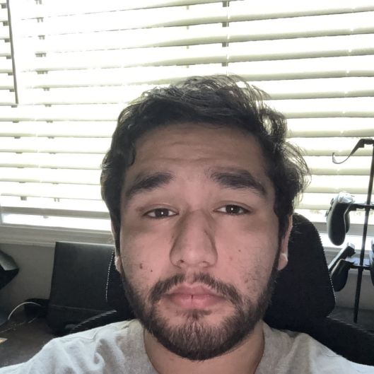 bearinneed
