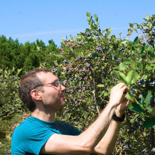 StellarVision's picture 3 of 3