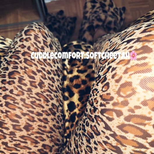 SoftCheetah's picture 4 of 10