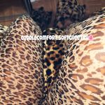 SoftCheetah