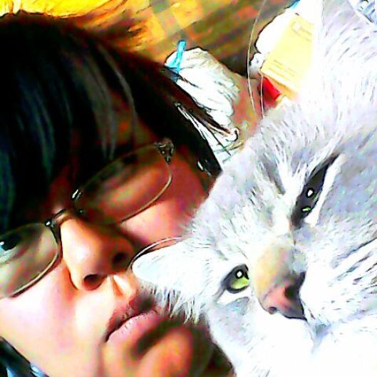 chibipaws96's picture 3 of 3