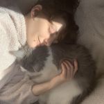 KittenCaboodle