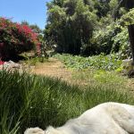 sunnyglen