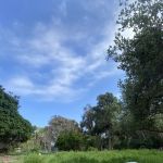 sunnyglen