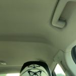 kot_a