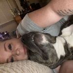 Scotishcuddler