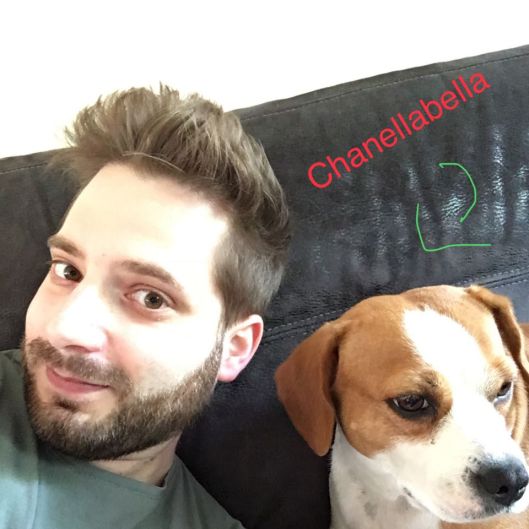 CuddlesRWanted