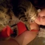 kittygirl