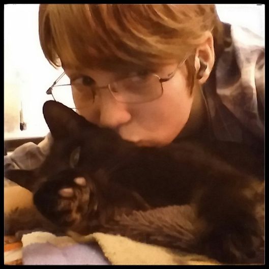 Cuddlemorecats