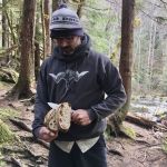 dreamswithtrees