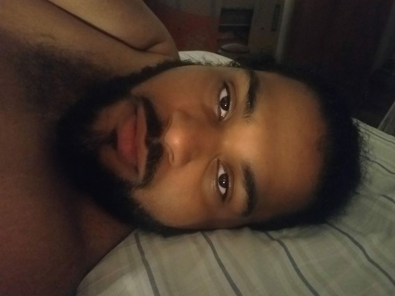 TheKingofCuddle's picture 3 of 5